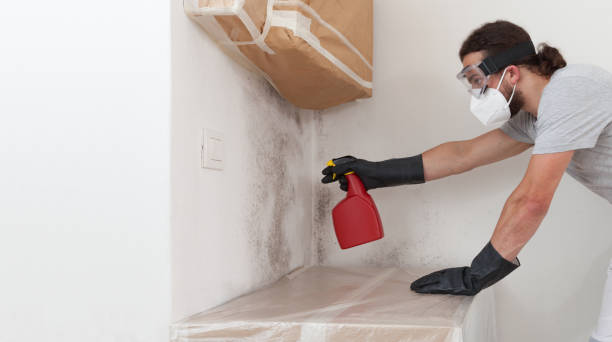Professional Crawl Space Mold Removal technician working in Fayville, MA