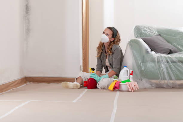 Reliable Crawl Space Mold Removal contractor in Fayville, MA by WQB Mold Removal